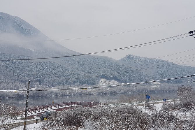 Nami Island + Ski Tour - Is $100 a fair price?