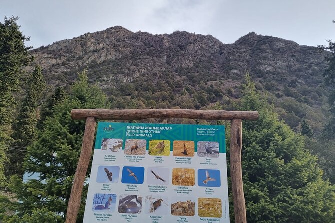National park Ala-Archa & Chunkurchak ski base resort - Ala-Archa National Park: an easy walk with big mountain views