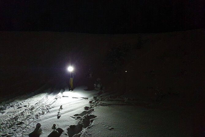 Nocturnal Skiing: Experience the Arctic's Magic - What This Night Ski Trip Really Offers