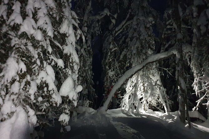 Nocturnal Skiing: Experience the Arctic's Magic - Starting at the Family Cabin Near Lake Norvajärvi