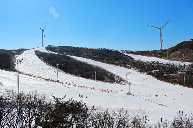 [OFFICIAL] Eden Valley Resort Winter Ski Day Tour from Busan - The staff can make a group tour easier