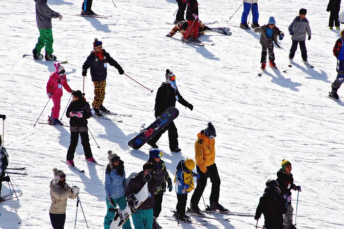 [OFFICIAL] Eden Valley Resort Winter Ski Day Tour from Busan - Is $38.57 good value?
