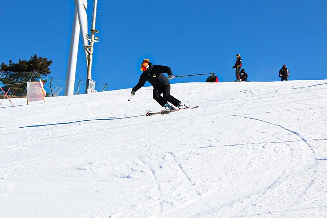 [OFFICIAL] Eden Valley Resort Winter Ski Day Tour from Busan - What makes Eden Valley Ski Resort appealing