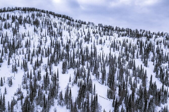 One Day Ski Tour Near Almaty - What the guiding style means for you
