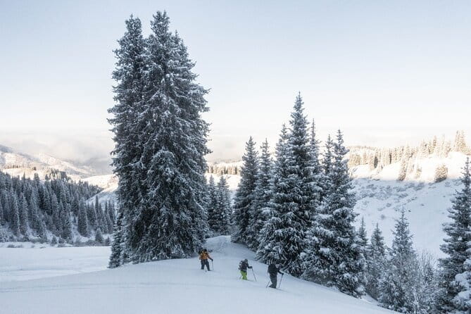 One Day Ski Tour Near Almaty - Fitness, ability, and the kind of skier who fits best