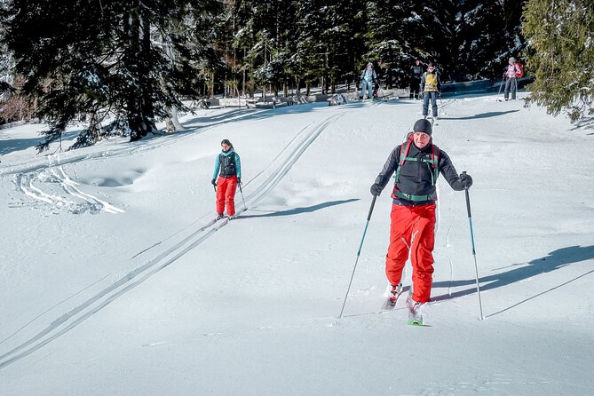 One Day Ski Touring Workshop - Key points at a glance