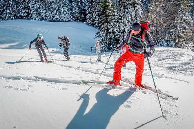 One Day Ski Touring Workshop - Avalanche rescue is a real part of the day