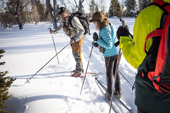 Private 4 Hour Beginner Cross Country Skiing in Grand Teton - Winter ecology between the ski lessons