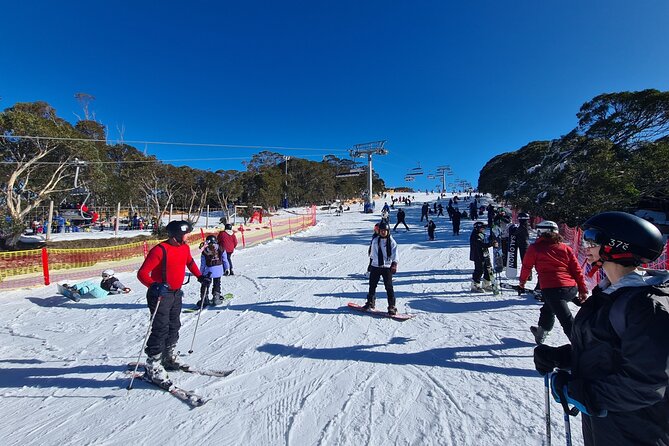 Private Mount Buller Snow and Ski Tour from Melbourne - Why this private Mount Buller trip works