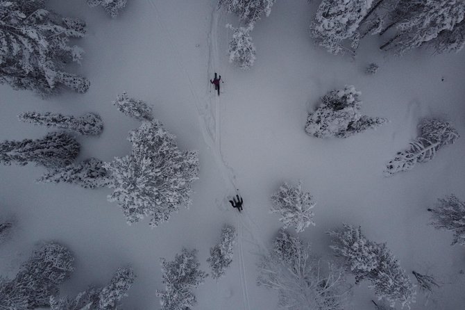 Private Northern Lights Tour With Skis Or Snowshoes in Pyhä - Choosing skis or snowshoes for Pyhätunturi