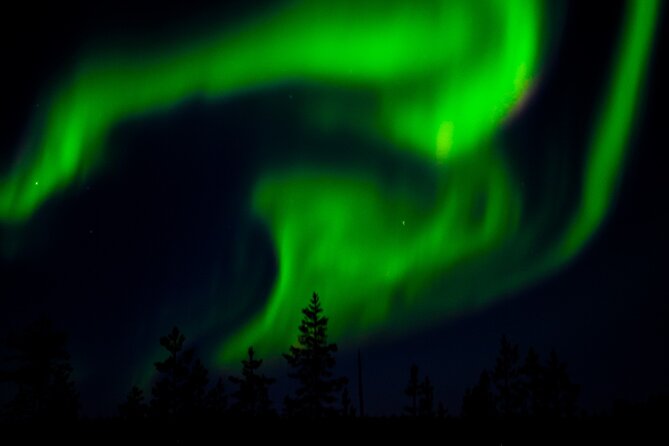 Private Northern Lights Tour With Skis Or Snowshoes in Pyhä - Is $169.24 per person good value?