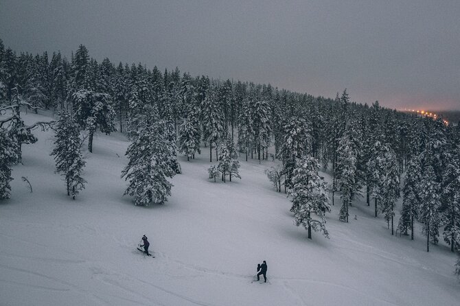 Private Northern Lights Tour With Skis Or Snowshoes in Pyhä - Meeting point, timing, and cancellation