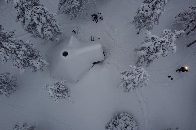 Private Northern Lights Tour With Skis Or Snowshoes in Pyhä - Moving through the forest after dark