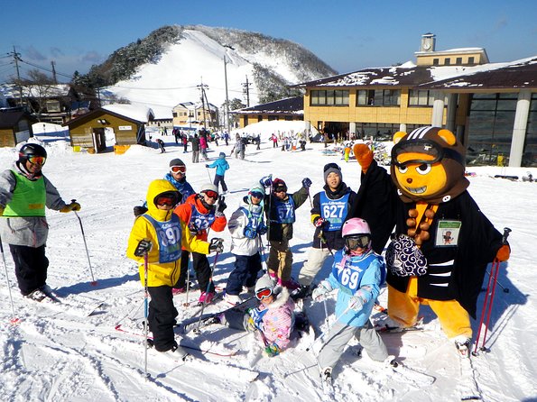 Private ski lesson for family or group(Transport included ) - Key points at a glance