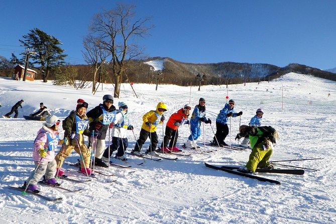 Private ski lesson for family or group(Transport included ) - Why this private ski day works for families
