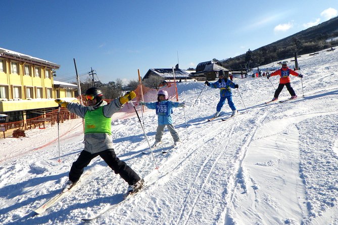 Private ski lesson for family or group(Transport included ) - What the $128.46 price includes