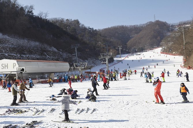 Private Ski Tour(Lesson) near Seoul at Elysian Gangchon Resort - Key points worth knowing