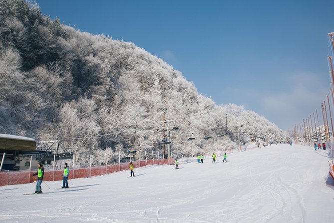 Private Ski Tour(Lesson) near Seoul at Elysian Gangchon Resort - Reaching Elysian Gangchon in Gangwon-do