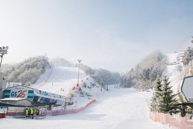 Private Ski Tour(Lesson) near Seoul at Elysian Gangchon Resort - What the two-hour lesson actually gives you