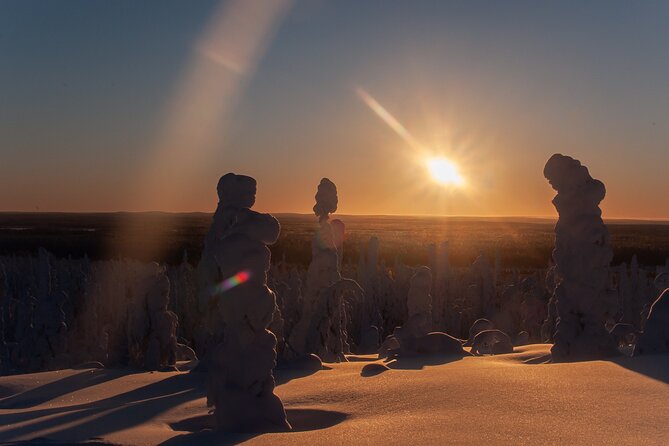 Private Snowshoe or Ski Adventure in Lapland from Rovaniemi - Key points to know before you book