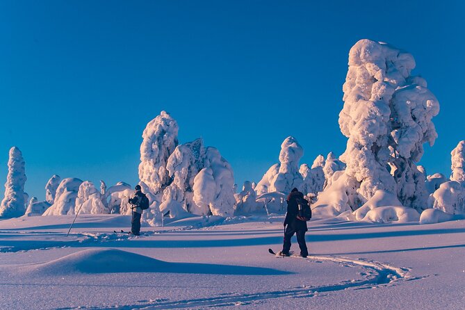 Private Snowshoe or Ski Adventure in Lapland from Rovaniemi - Choosing your Lapland route before 8:30 am