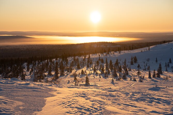 Private Snowshoe or Ski Adventure in Lapland from Rovaniemi - The private format and group value