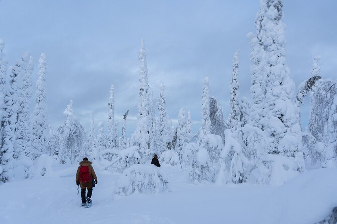 Private Snowshoe or Ski Adventure in Lapland from Rovaniemi - Who should book this Rovaniemi adventure?