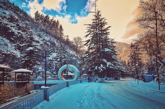 Private Tour to Bakuriani Ski Resort and the Legendary Borjomi - Returning to Borjomi Central Park