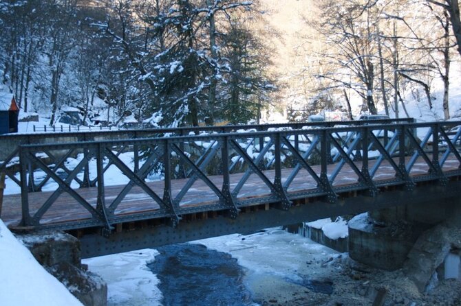 Private Tour to Bakuriani Ski Resort and the Legendary Borjomi - Guide service and the private format