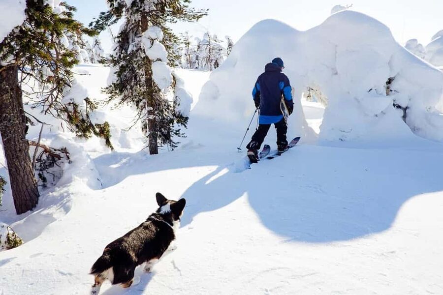 Pyhä: Skiing Tour in Arctic Forest - Forest Trails, Frozen Lakes, and Soutaja Fell