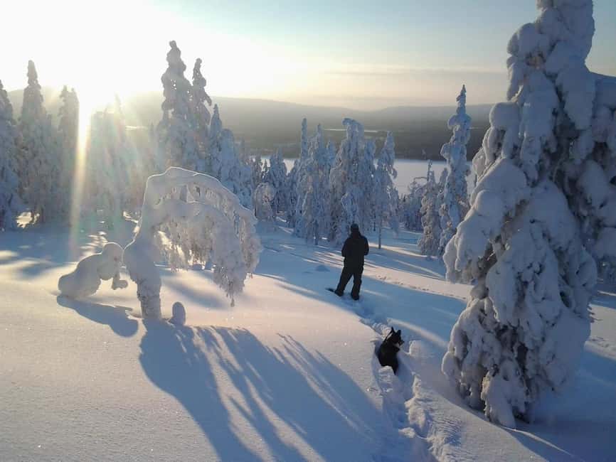 Pyhä: Skiing Tour in Arctic Forest - Is $127 Good Value for Two Hours?
