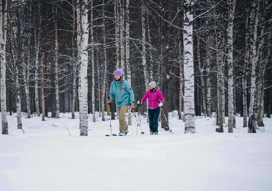 Pyhä: Skiing Tour in Arctic Forest - Learning to Move on Wide Arctic Skis