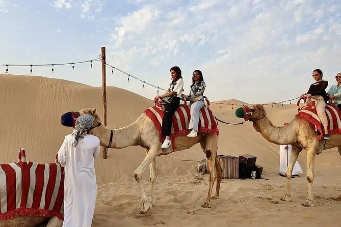 Red Desert Safari With Camel Ride & Sand Skiing - A brief camel ride with Bedouin flavor