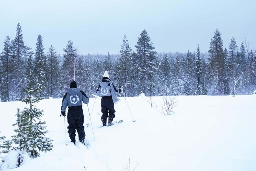 Rovaniemi: Backcountry Skiing Adventure - Practical planning for a smoother outing