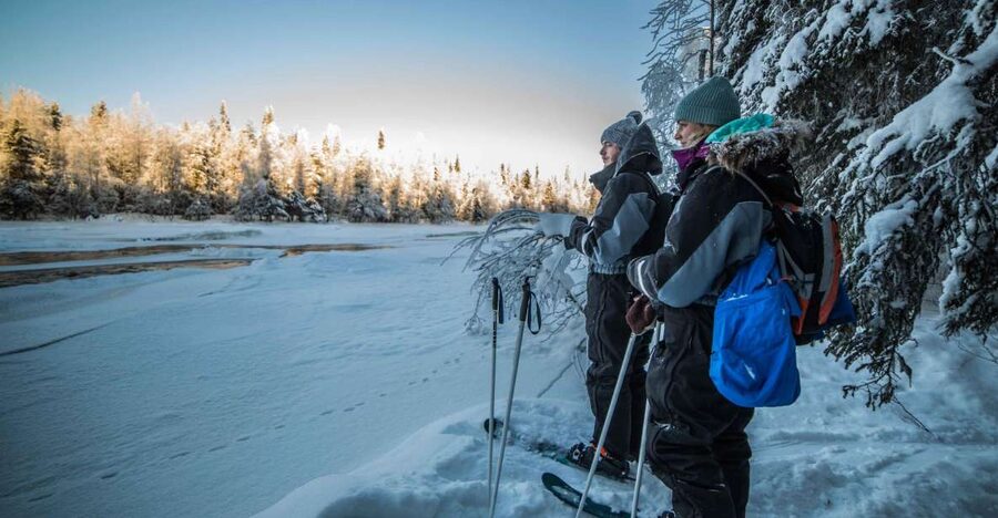Rovaniemi: Backcountry Skiing Adventure - Should you book this Arctic ski tour?