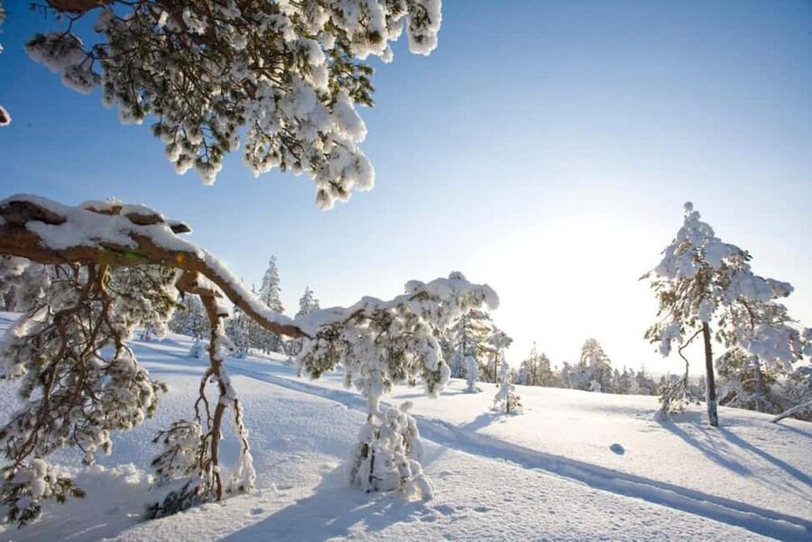 Rovaniemi: Cross-Country Skiing Adventure with Guide - Getting dressed for the cold