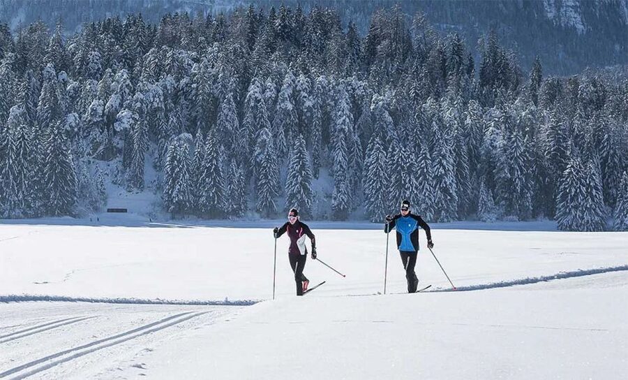 Rovaniemi: Cross Country Wilderness Ski Adventure - Key points to know before booking