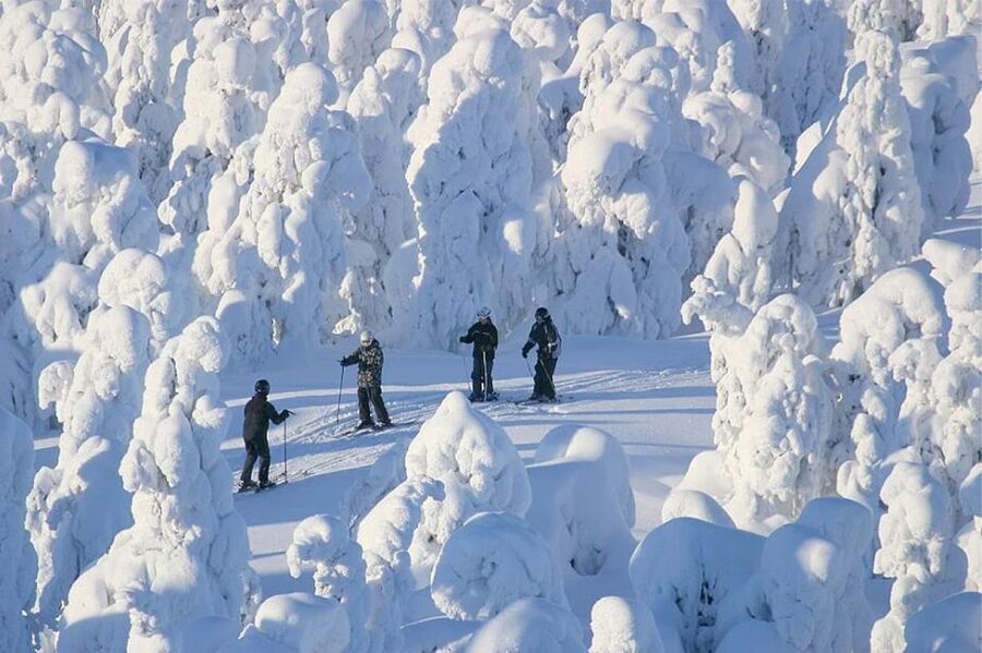Rovaniemi: Cross Country Wilderness Ski Adventure - The rhythm of a Finnish winter workout