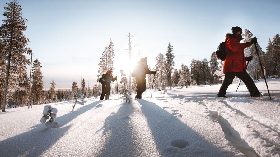 Rovaniemi: Lapland Ski Trekking Safari - Leaving Rovaniemi for the Taiga forest