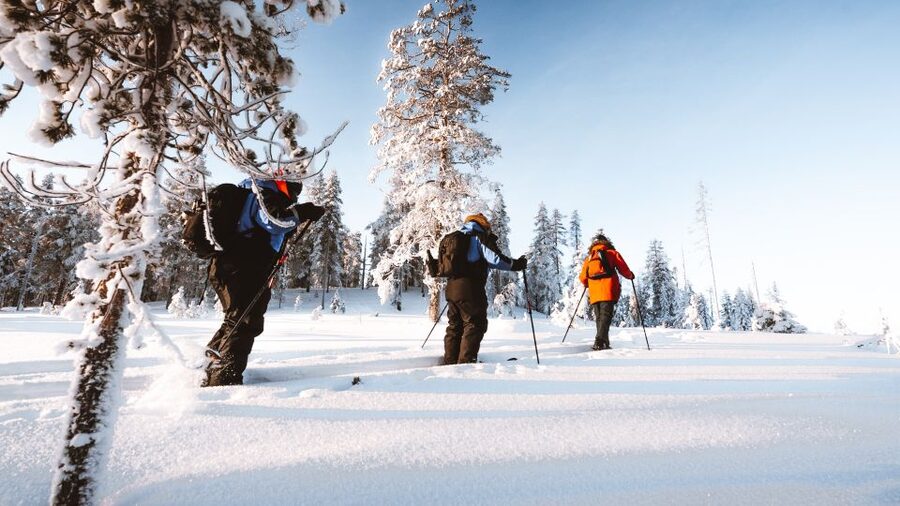 Rovaniemi: Lapland Ski Trekking Safari - The campfire stop in a Finnish shelter
