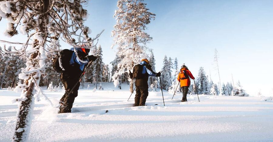 Rovaniemi: Lapland Ski Trekking Safari - How hard is ski trekking for a beginner?