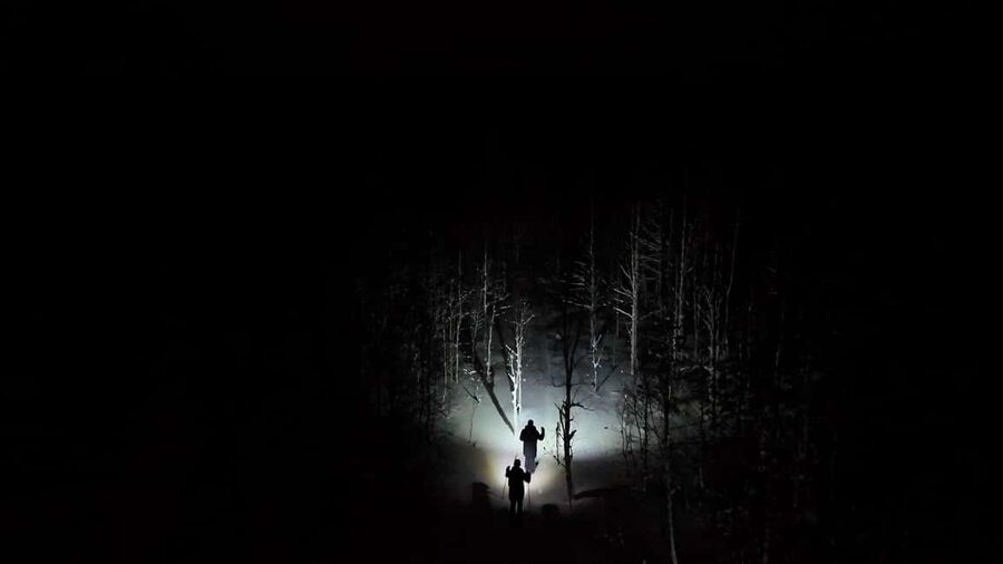 Rovaniemi: Nighttime Ski Adventure ending with Campfire - Five things to know before you go