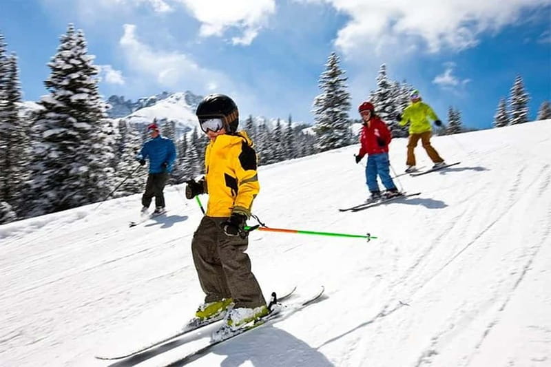Rovaniemi: Slalom and Alpine Skiing - A closer look at the $293 price