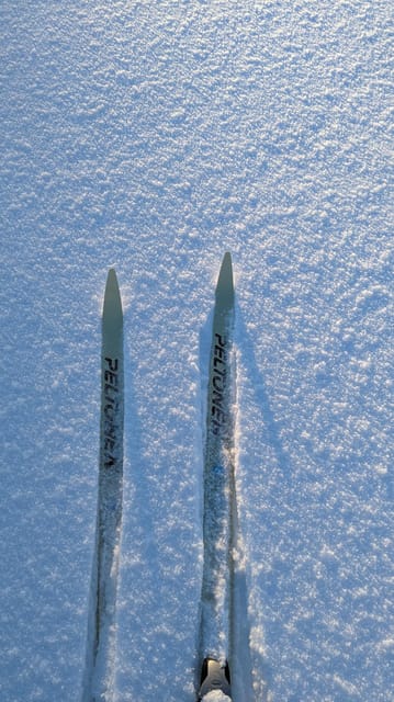 Saariselkä: Back-Country Skiing Guided Tour - What makes this Saariselkä ski tour special