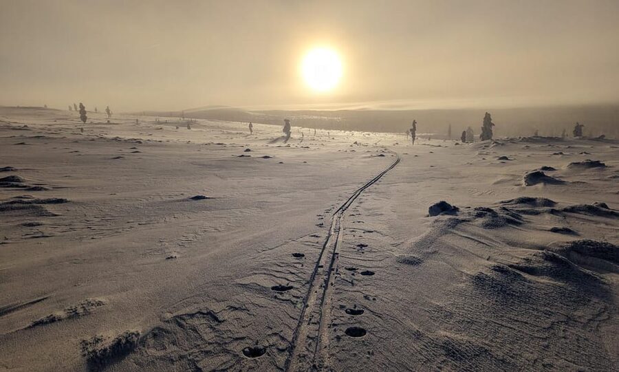 Saariselkä: Back-Country Skiing Guided Tour - Wildlife beyond the marked trails