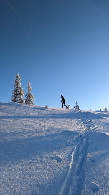 Saariselkä: Back-Country Skiing Guided Tour - Who should book this tour?