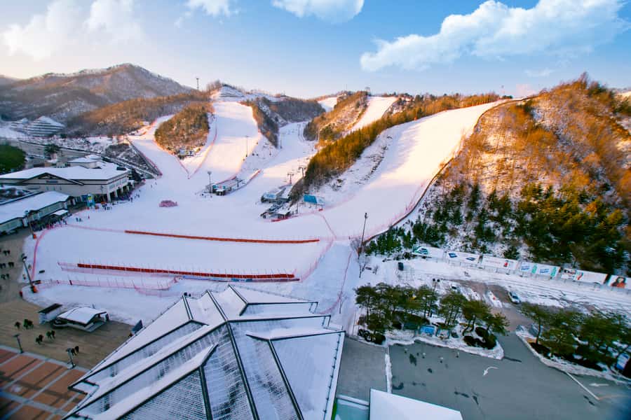 Seoul: Elysian Gangchon Winter Ski Resort Fun Day Tour - What the one-hour lesson can and cannot do