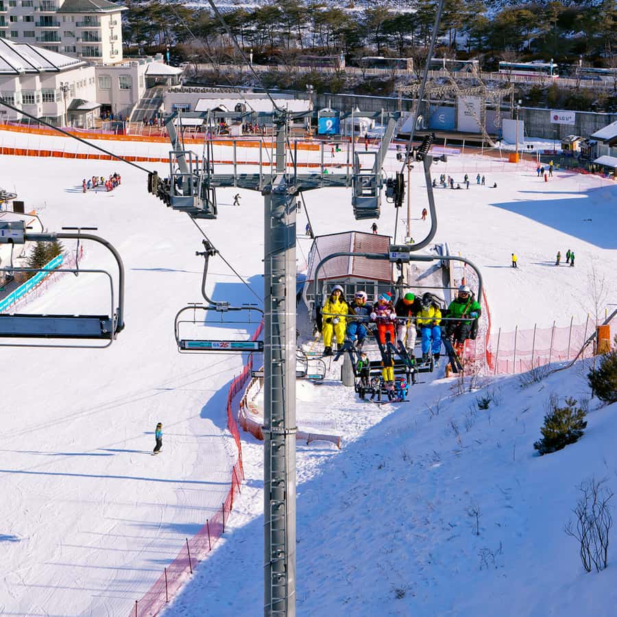 Seoul: Elysian Gangchon Winter Ski Resort Fun Day Tour - Choosing between five winter packages