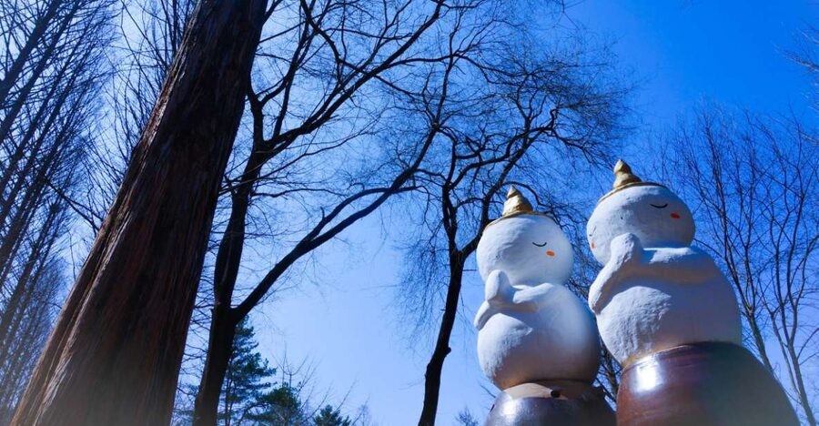 Seoul: Elysian Gangchon Winter Ski with Nami Island Day Tour - Why this two-stop winter day works