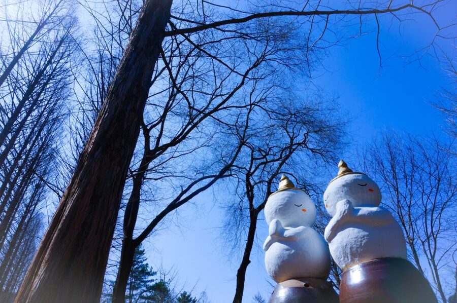Seoul: Elysian Gangchon Winter Ski with Nami Island Day Tour - What the lesson is really worth
